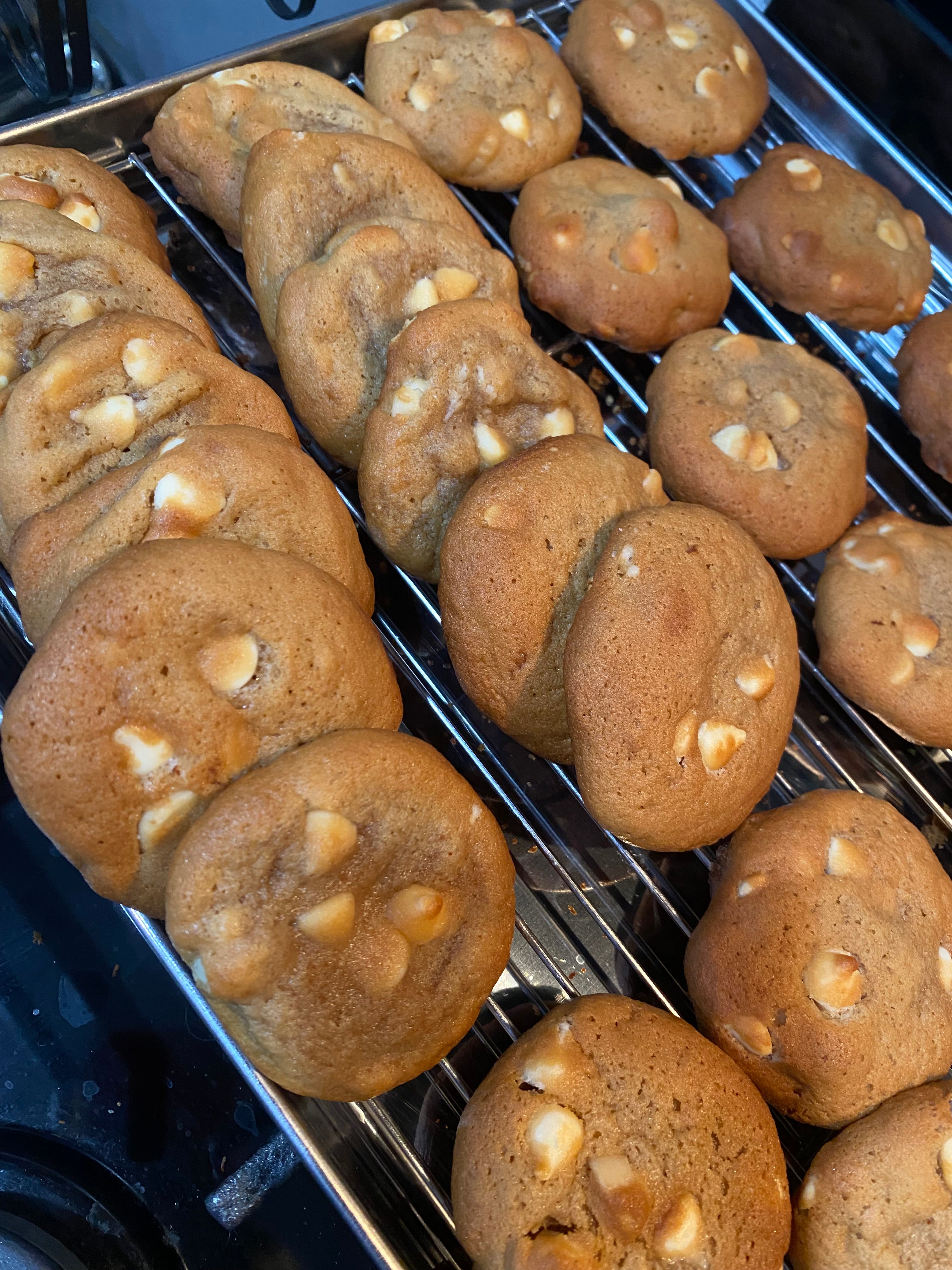 Deliciosas Galletas Caseras (24)